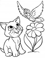 disegni/gatti/gatti_cats_ 40.jpg